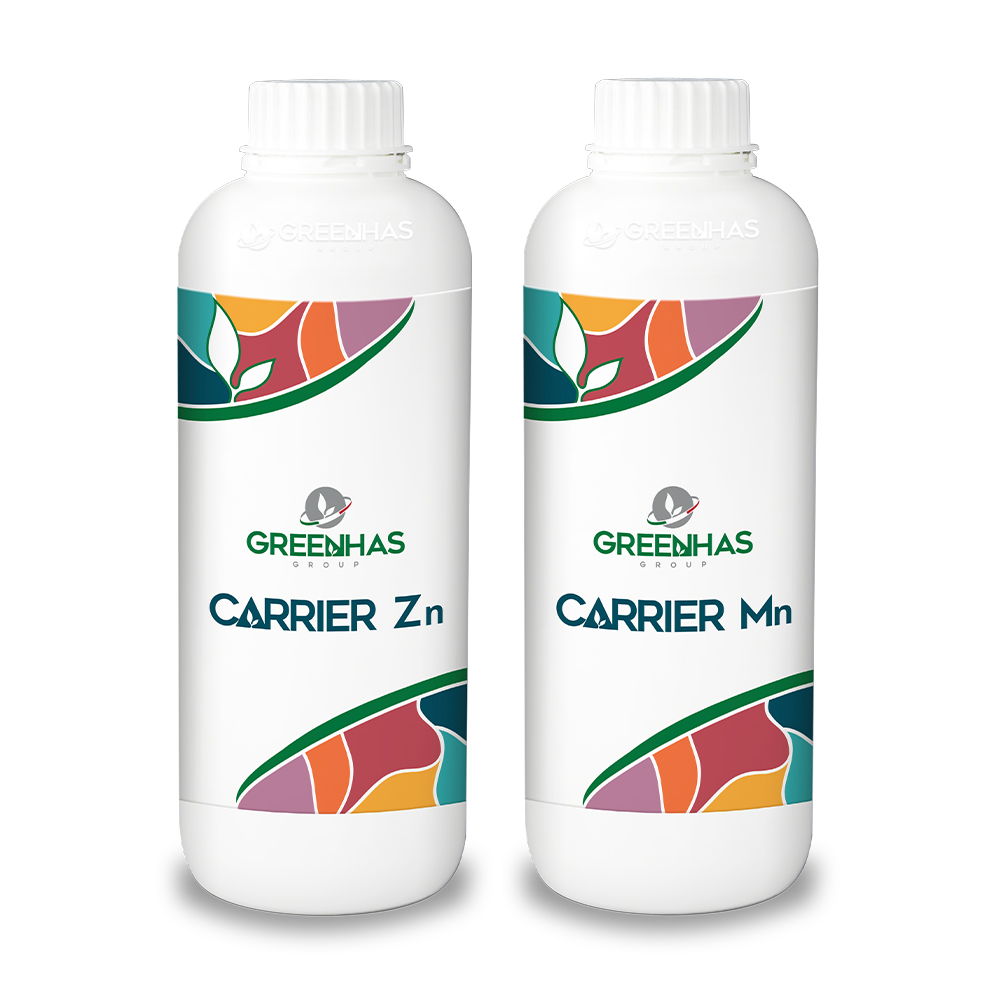 Carrier Line